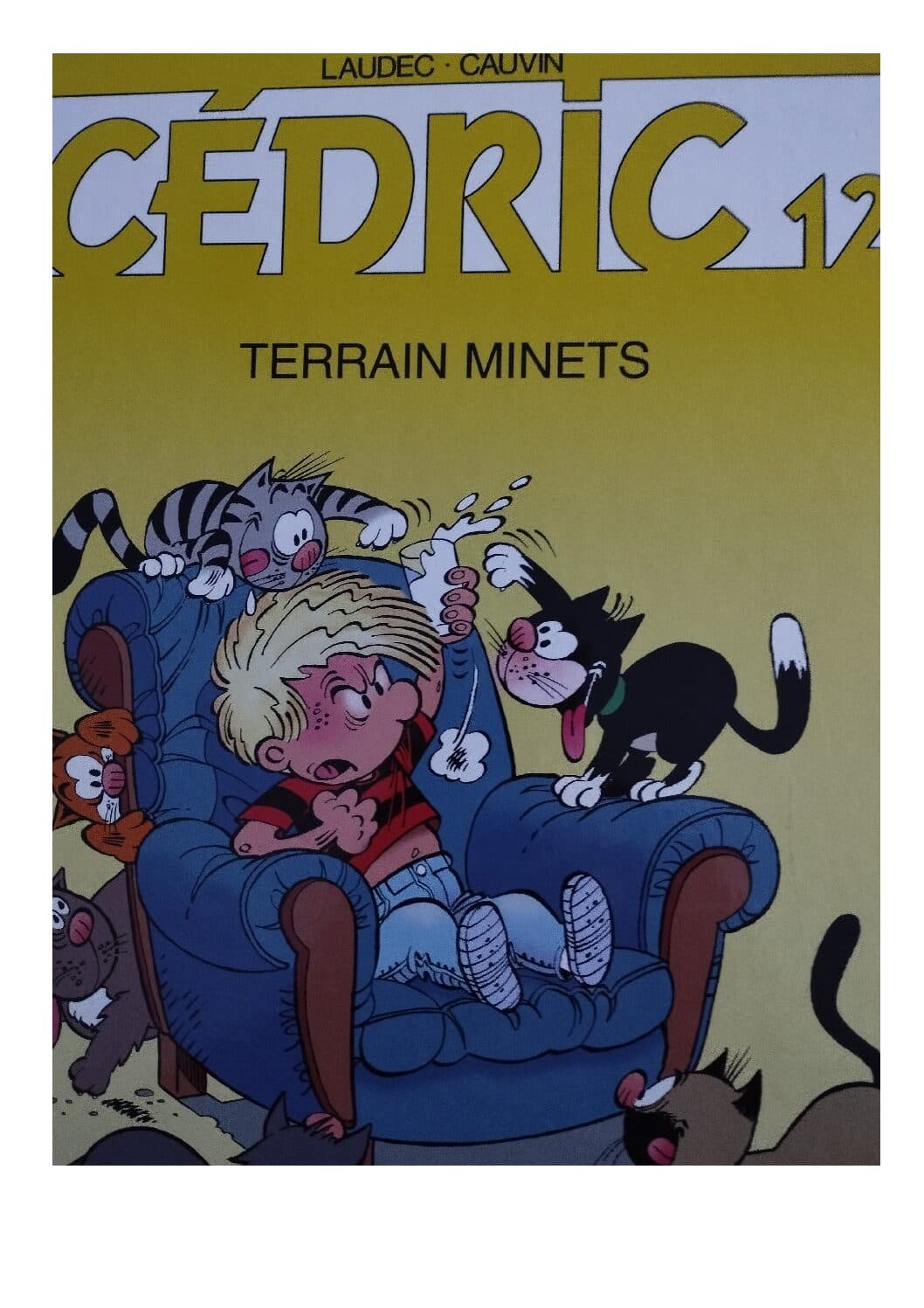 CEDRIC TOME 12 - TERRAIN MINETS