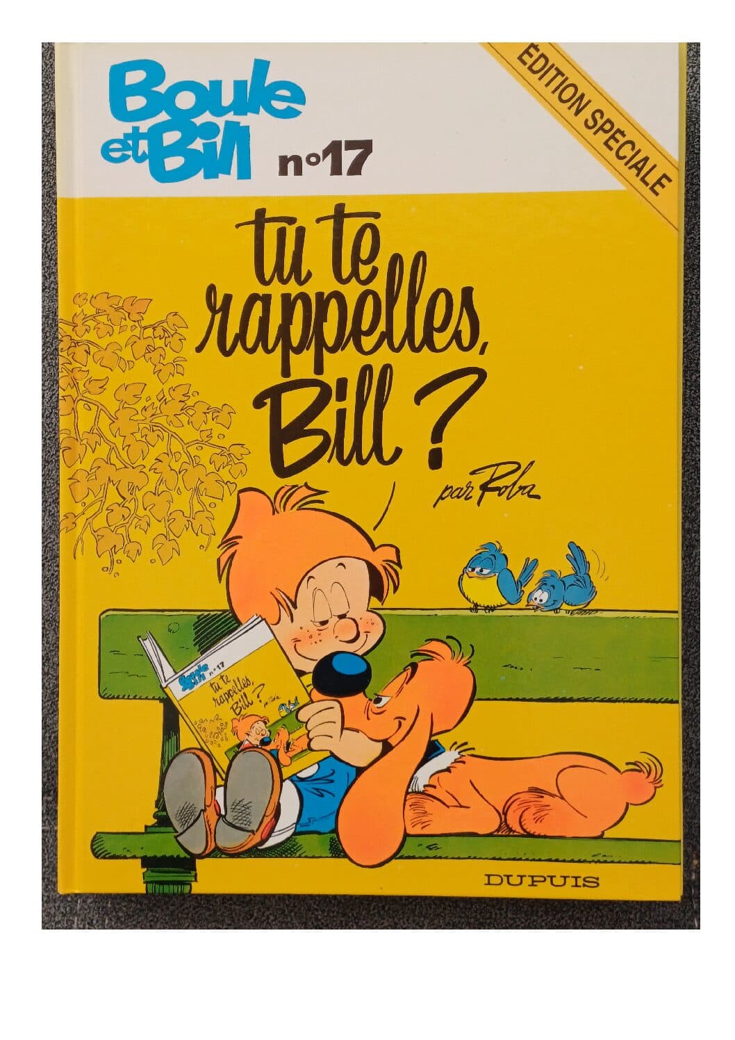 BOULE ET BILL TOME 17 - TU TE RAPELLES BILL?