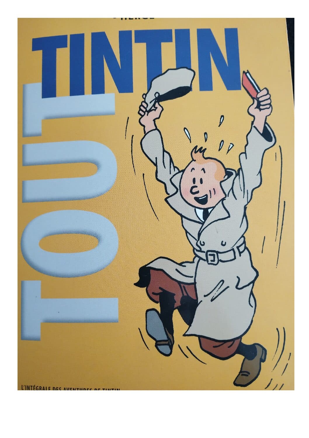 TOUT TINTIN - 2008